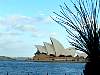 sydney08179.JPG