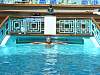 cruise043.JPG