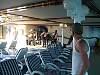 cruise186.JPG
