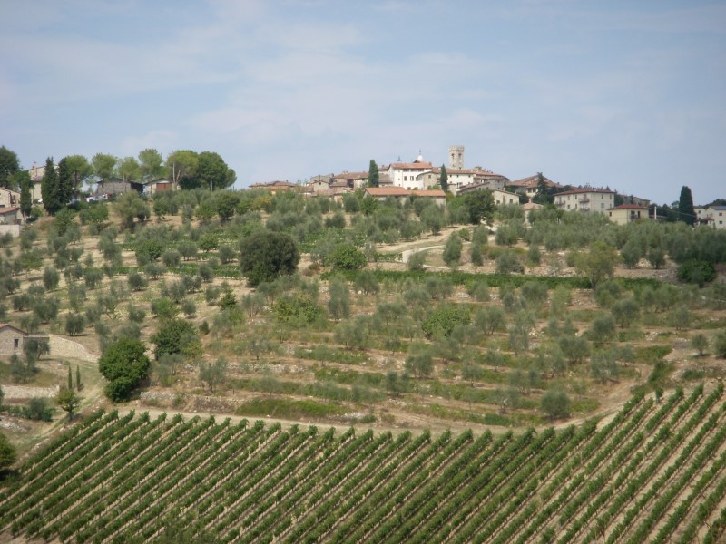 toscane2010441.jpg